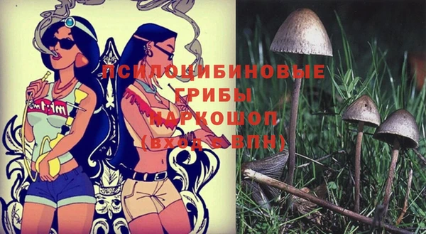 гашишное масло Абинск