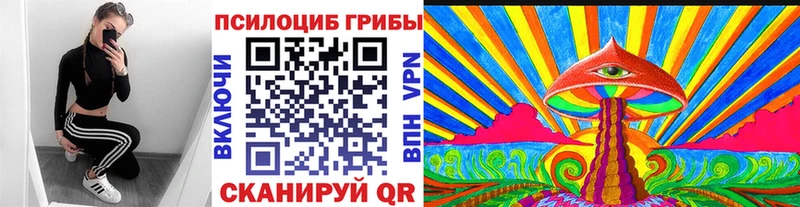ссылка на мегу ссылки Торжок Псилоцибиновые грибы мицелий