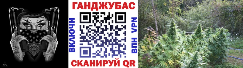 купить наркотики сайты  Торжок  Шишки марихуана сатива 
